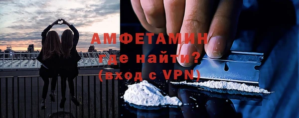 ГАЛЛЮЦИНОГЕННЫЕ ГРИБЫ Богданович