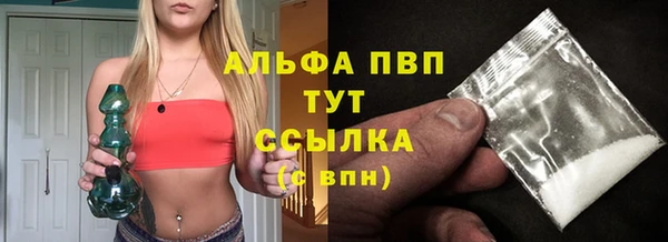 ГАЛЛЮЦИНОГЕННЫЕ ГРИБЫ Богданович