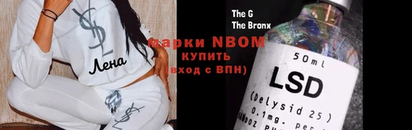 ГАЛЛЮЦИНОГЕННЫЕ ГРИБЫ Богданович