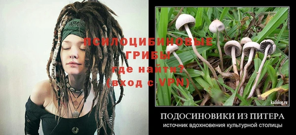 ALPHA PVP Богородск