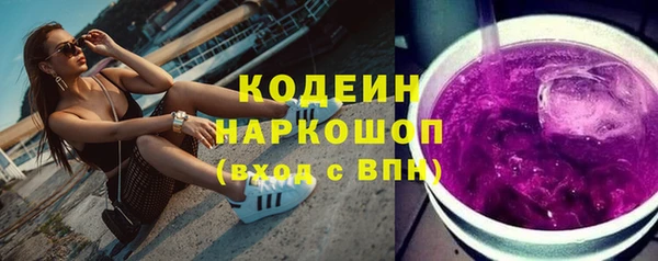 ГАЛЛЮЦИНОГЕННЫЕ ГРИБЫ Богданович