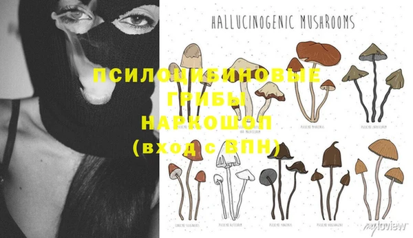 ALPHA PVP Богородск