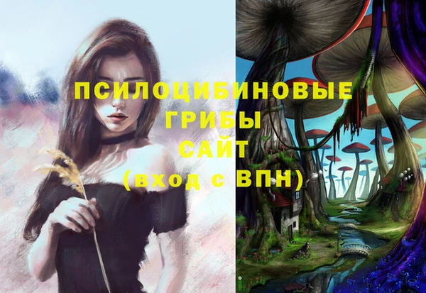 гашик Богородицк