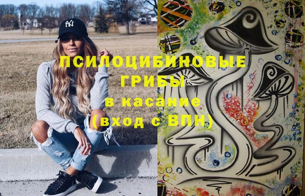 ГАЛЛЮЦИНОГЕННЫЕ ГРИБЫ Богданович