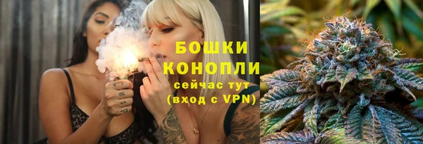 ГАЛЛЮЦИНОГЕННЫЕ ГРИБЫ Богданович