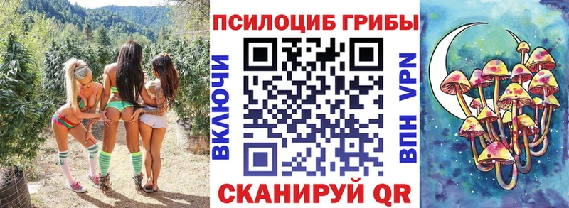наркота  Комсомольск  Псилоцибиновые грибы ЛСД 